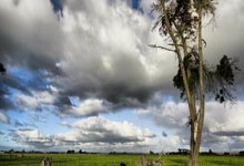 东海红娘婚介公司哪家好？我的真实体验和分享